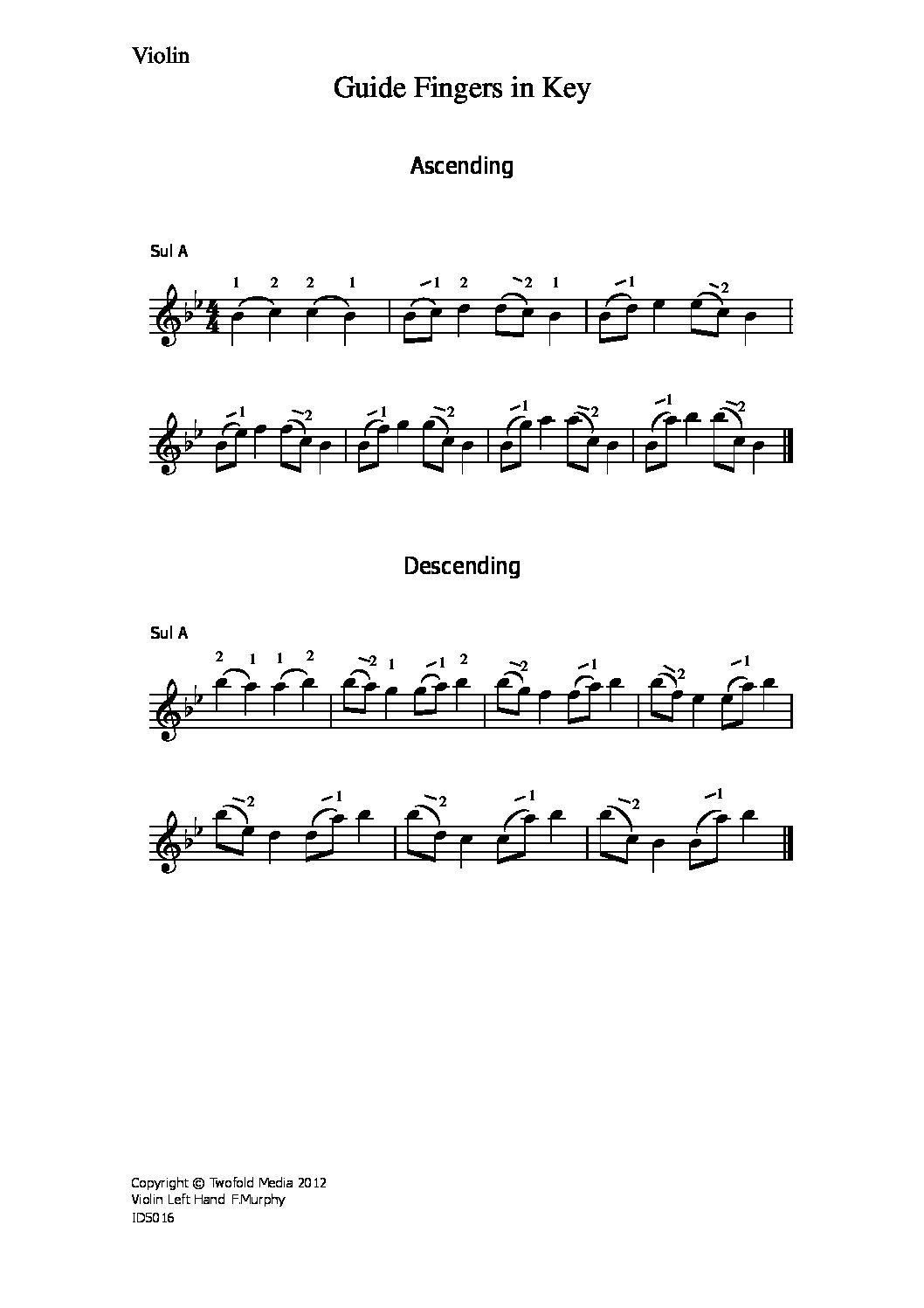 Guide fingers in key_vn