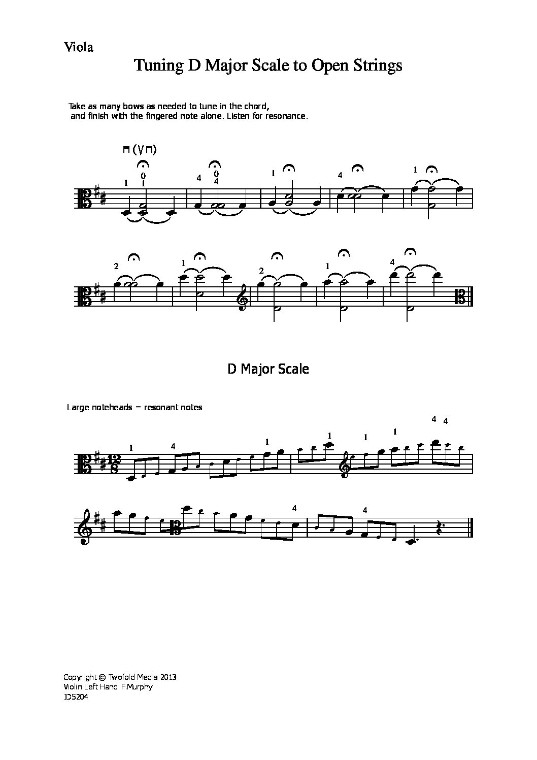 Tuning d major scale to open strings_va
